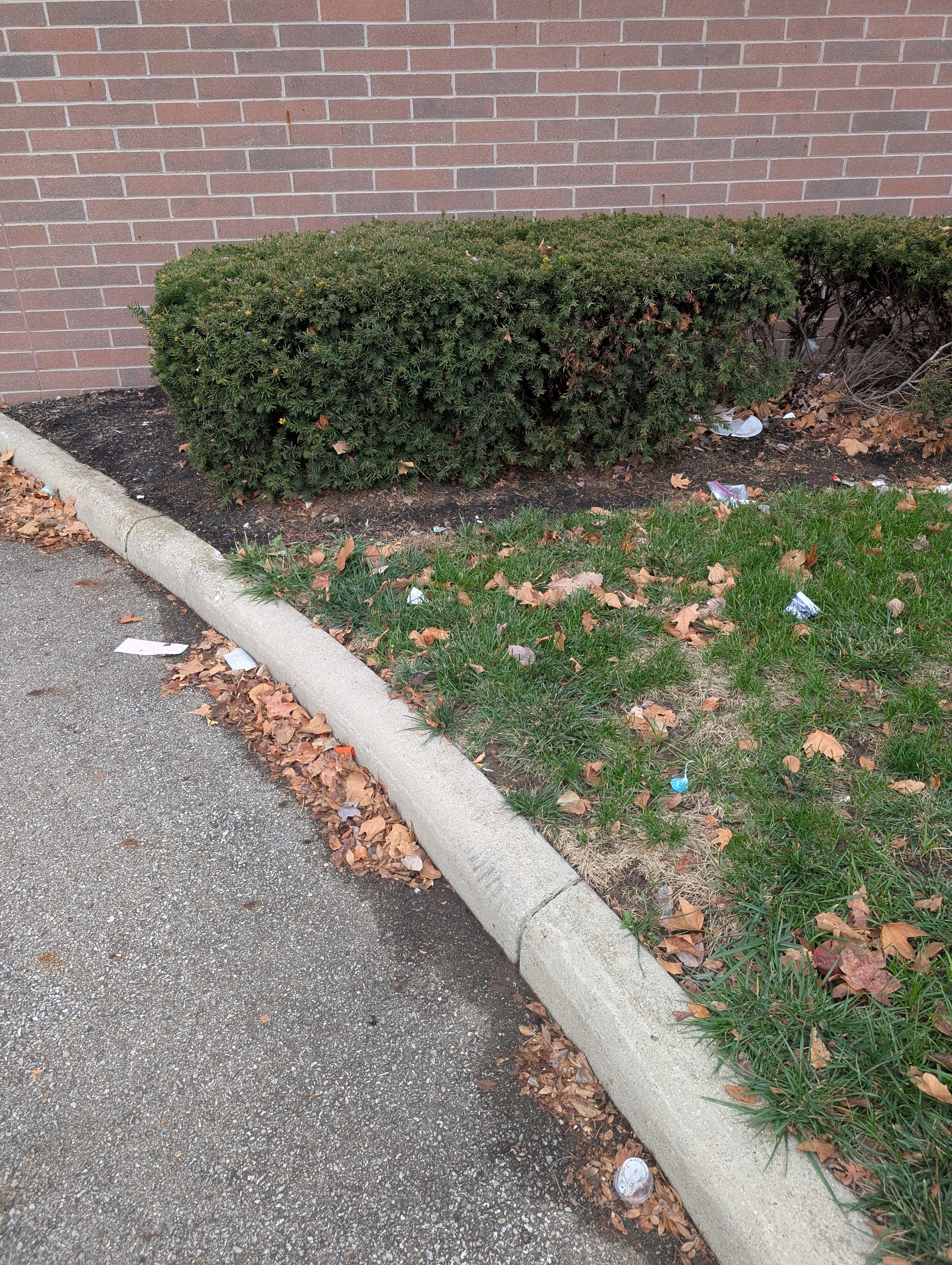 Trash and leaves collected along a curb and shrub bed at a commercial property in Columbus, Ohio