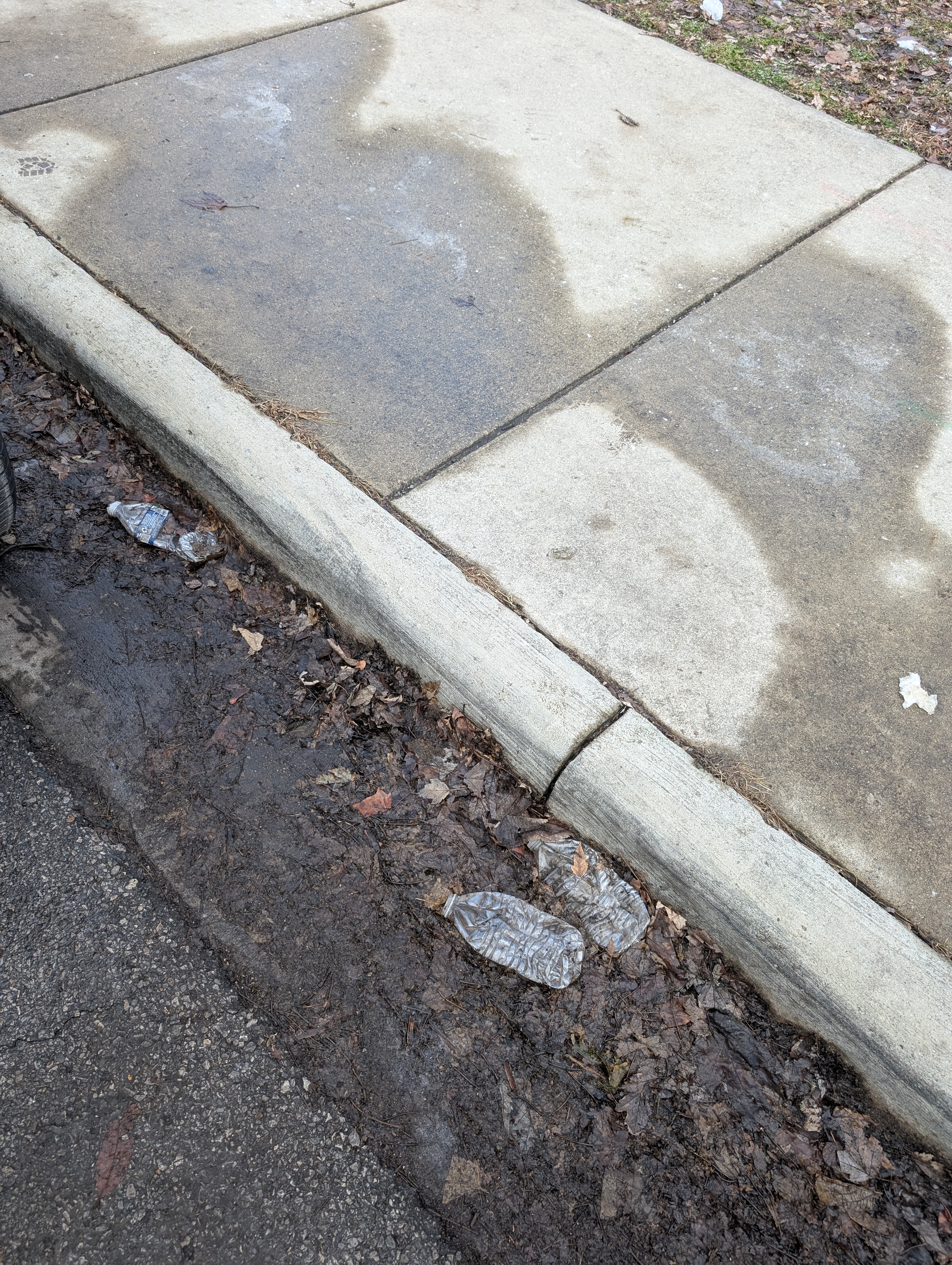 Debris and litter accumulated along a curb line